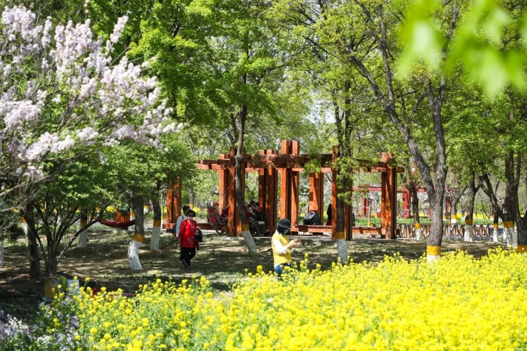 北京人少景美赏秋的公园,北京赏秋中山公园