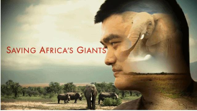 姚明，不止坚守着中国男篮，还守护着非洲