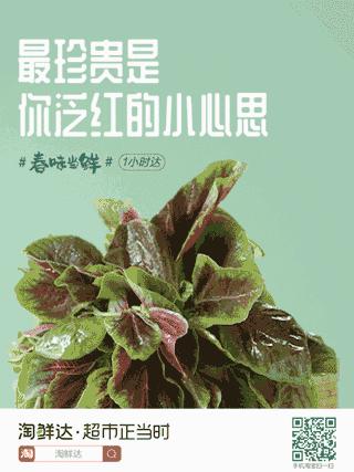 下跪了一万次文案,阿里月薪过万的文案