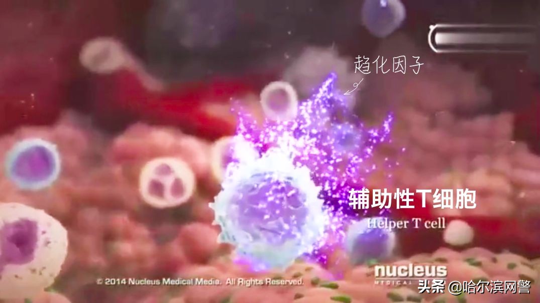 谈癌色变或许没有那么可怕,为什么谈艾色变