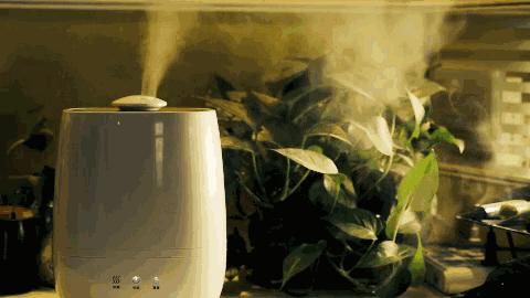 加湿器引起的肺炎什么症状,加湿器型肺炎用什么方法清肺
