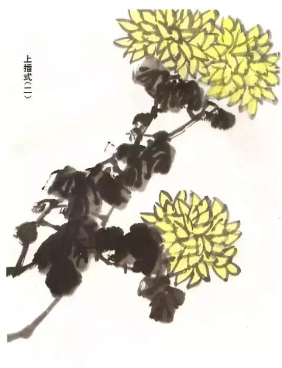 菊花国画入门简单教程,国画菊花画法技法教程