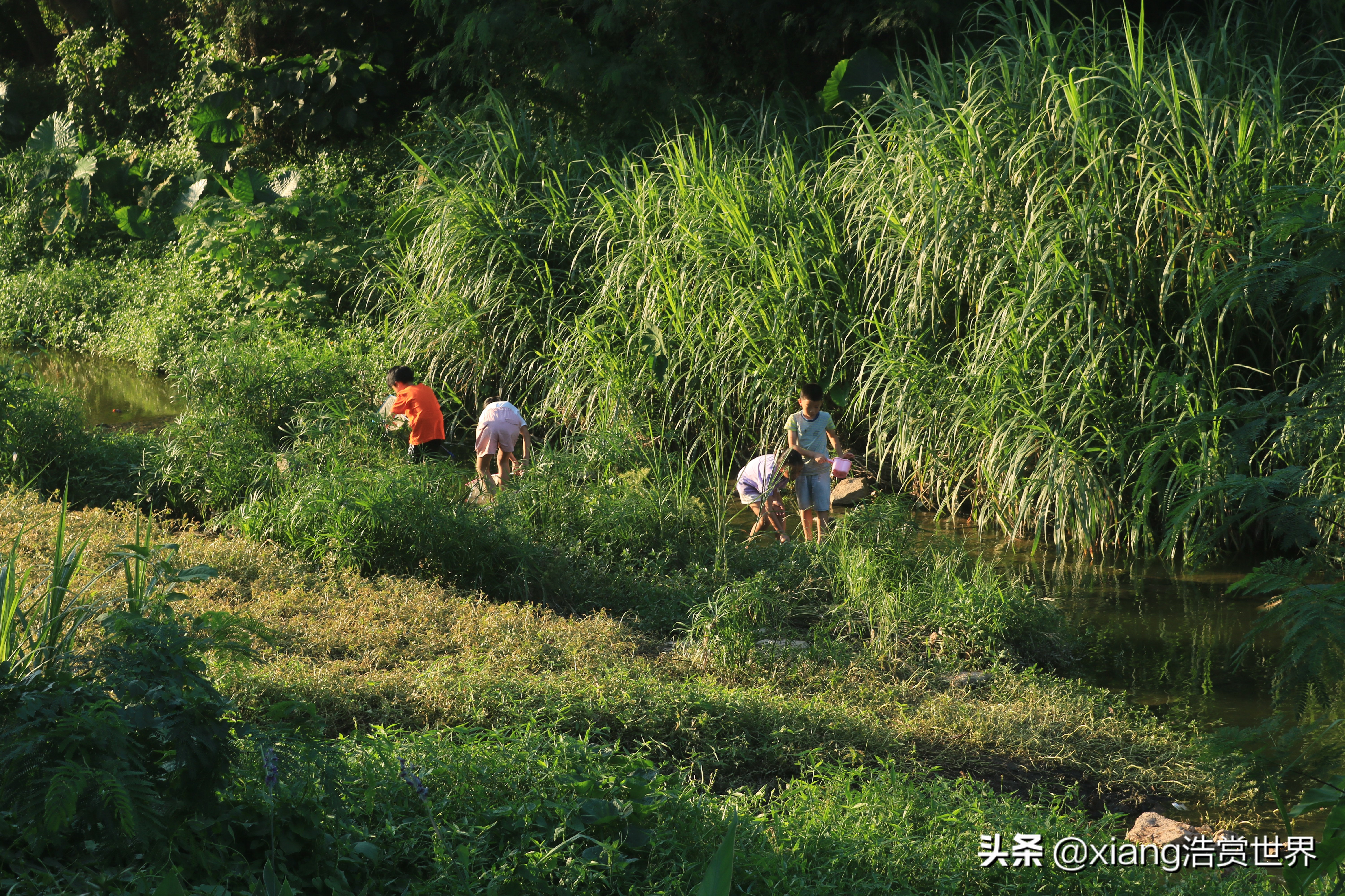 深圳最值得拍照的公园,深圳风景最好看的公园