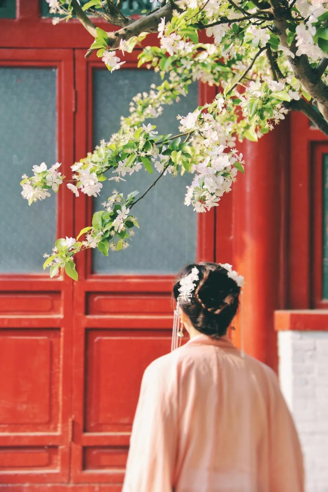 北京人少景美赏秋的公园,北京赏秋中山公园