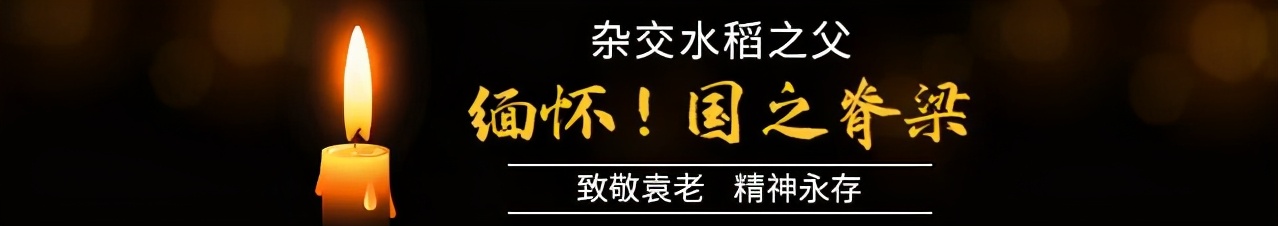 送别袁隆平群众高呼一路走好,袁隆平院士群众送别
