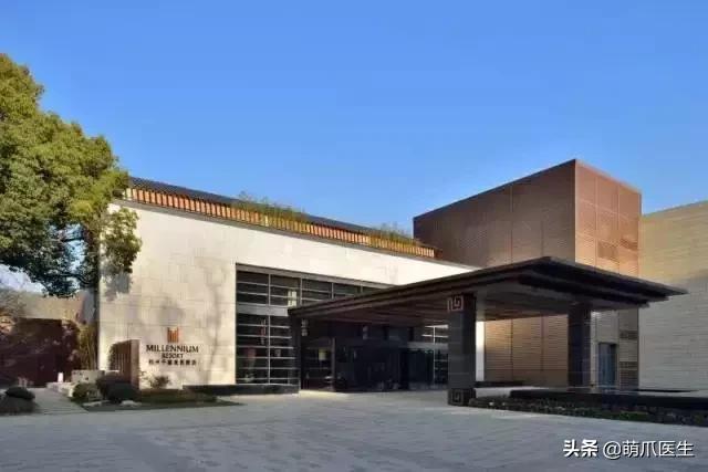 带宠物住宿酒店,带宠旅行酒店