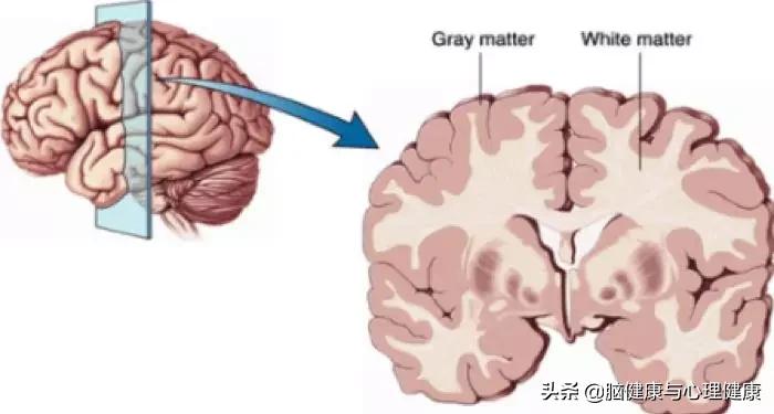科学研究发现运动能减少抑郁,科学运动刺激细胞使人体长高