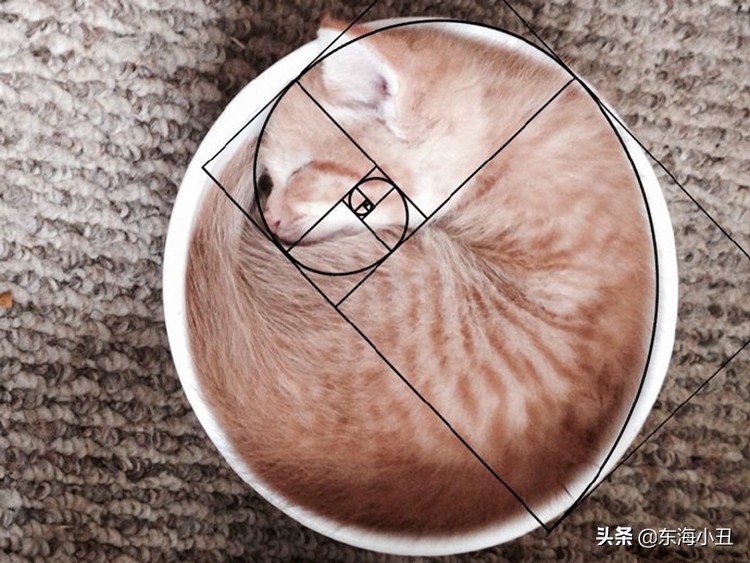 摄影中线条构图,摄影黄金分割理论