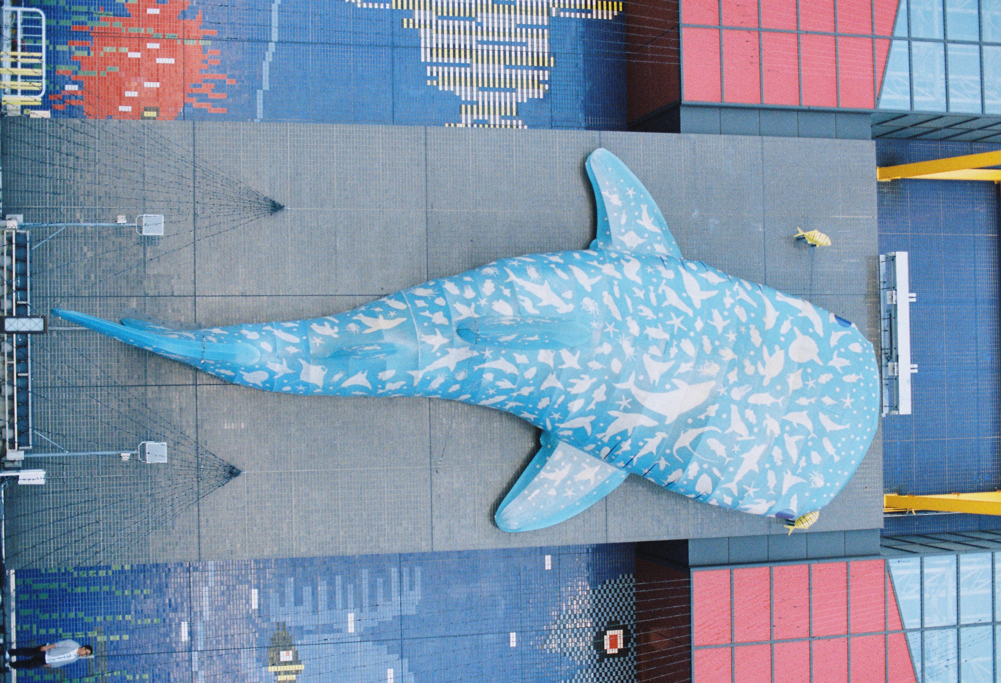 全世界可乐价格,世界各国可乐的价格