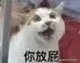 猫零食智商税10连，铲屎官的钱都是大风刮来的吗？