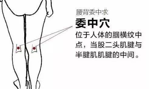 好腰是养出来的,好腰全靠养全部视频