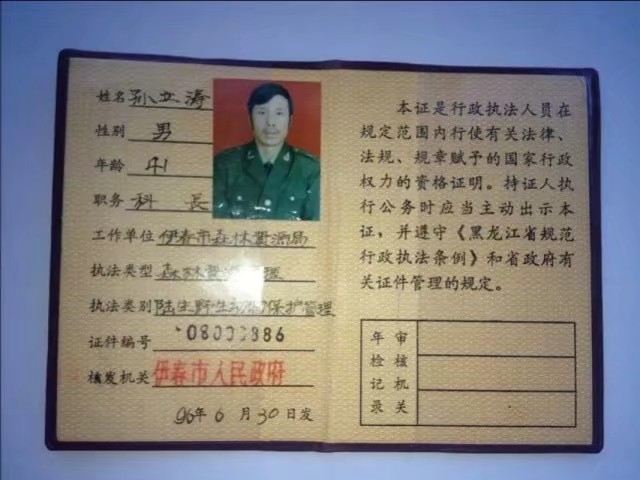 伊春市林区今昔对比,伊春六七十年代林区林场