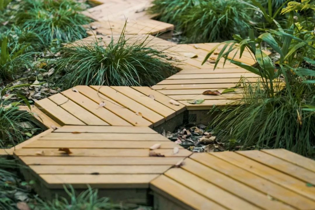 上海最贵的房子60万一平,上海租房最贵的地段