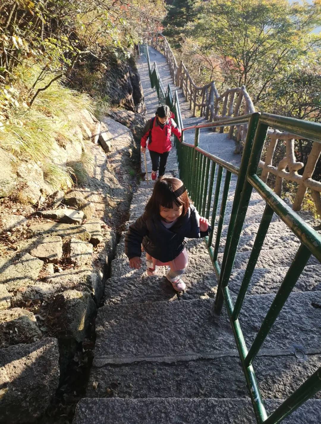 秋至黄山：当秋光与山色齐放