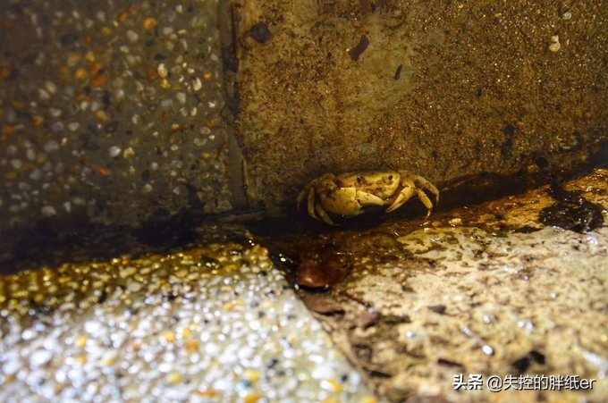 带上妈妈去旅行,带妈妈旅行去哪里合适