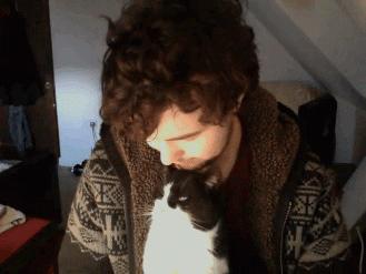 如何训练一只猫,如何训练一只猫用猫砂