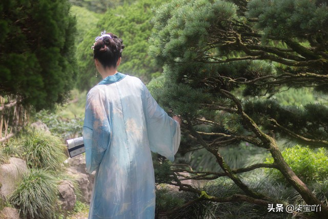 此致爱情小说好看吗,此致爱情小说讲的什么