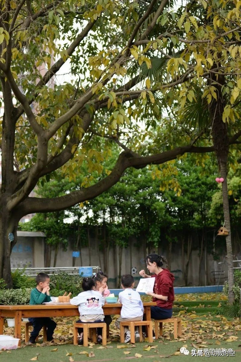 幼稚园思维训练,仪式感满满的幼儿园户外