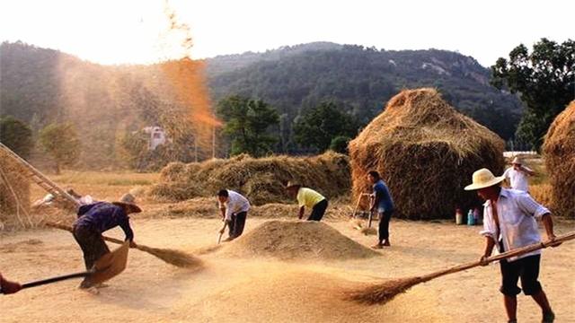 打麦场回忆,最后一块演唱