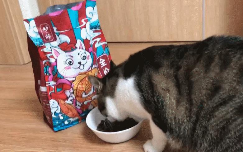 美短猫大便太臭怎么回事,猫几天不大便怎么办