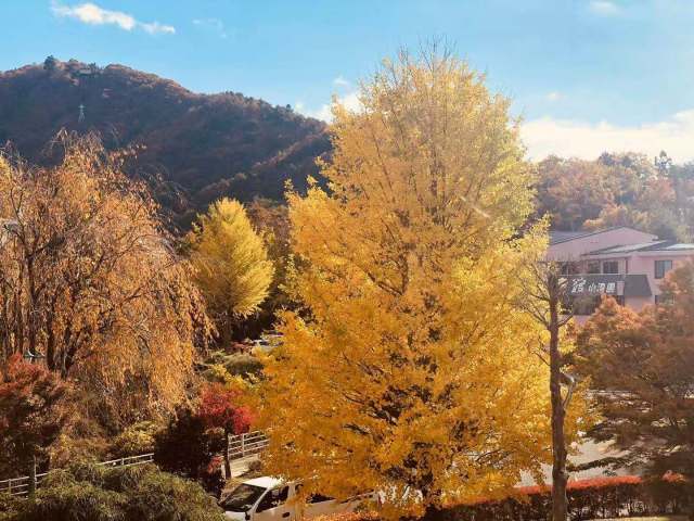 东京到镰仓和箱根攻略,东京箱根富士山镰仓