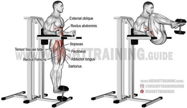 胸肩背臂腿腹训练动作,腰臀肌肉训练方法