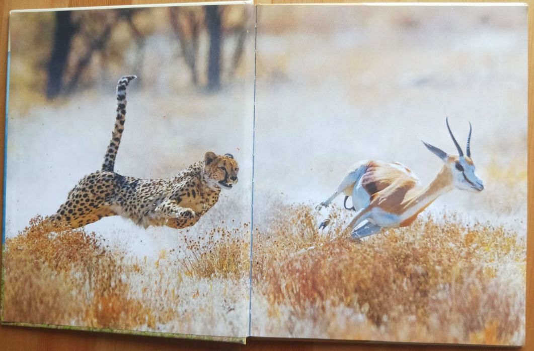 来聊聊总有一天要读的Non-fiction，怎么读，读什么...