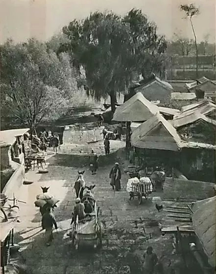 【FENG向】丰台花乡:匠人匠心,八百年打造京城里的″花花世界″