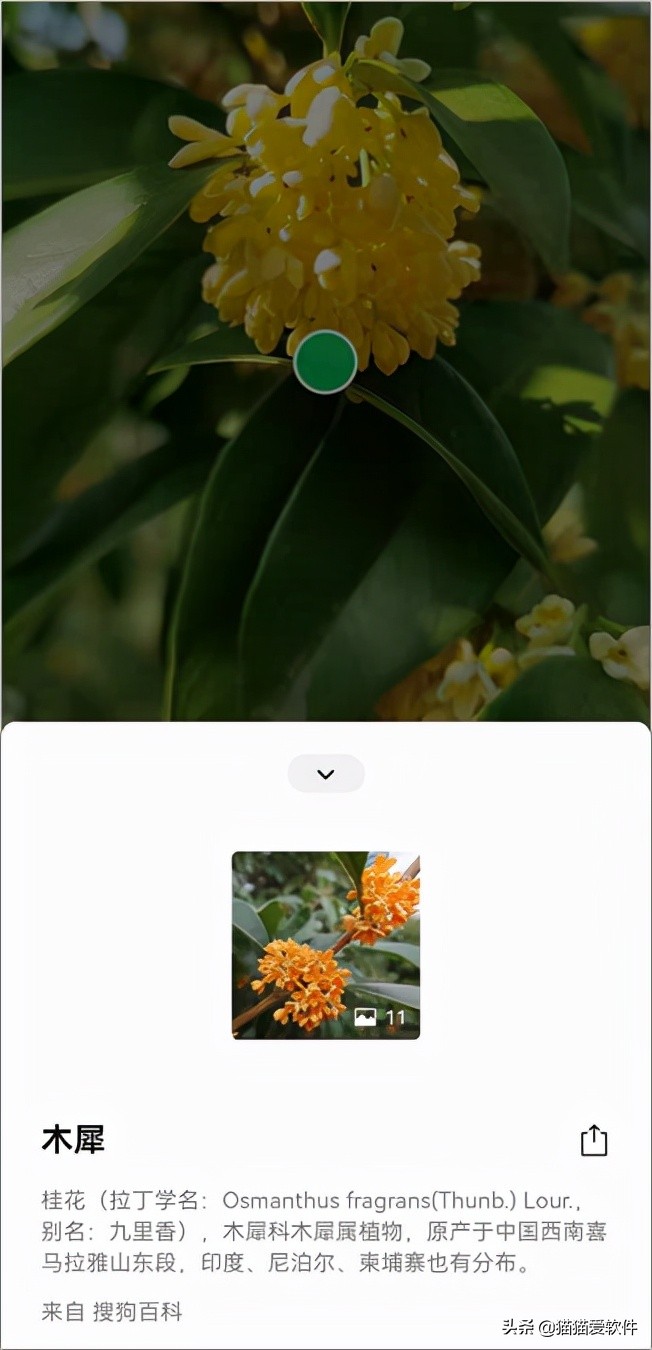 除了微信聊天还有什么软件,除了微信还有什么沟通软件么