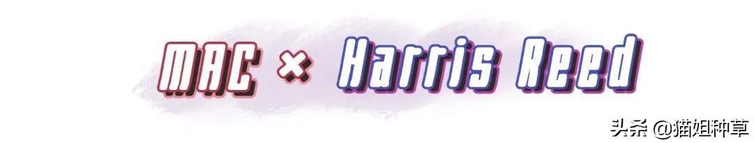 动森港版限定,动森要出新作