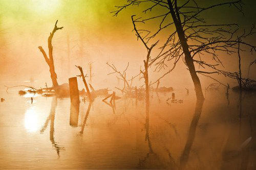 梦中仙境雾气,雾气淡怎么拍出来