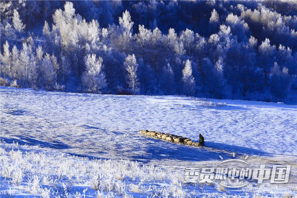 美丽中国中国篇,美丽中国双碳有我主题范文800字