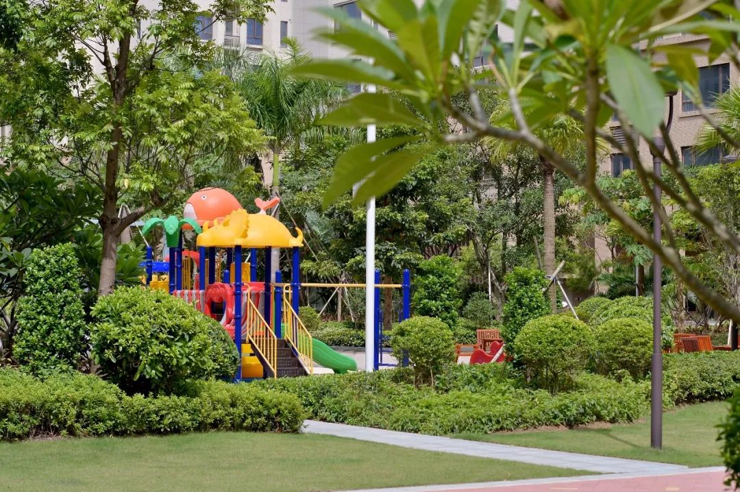 “双博”交汇，全球目光都盯上深圳了！这个区域要火