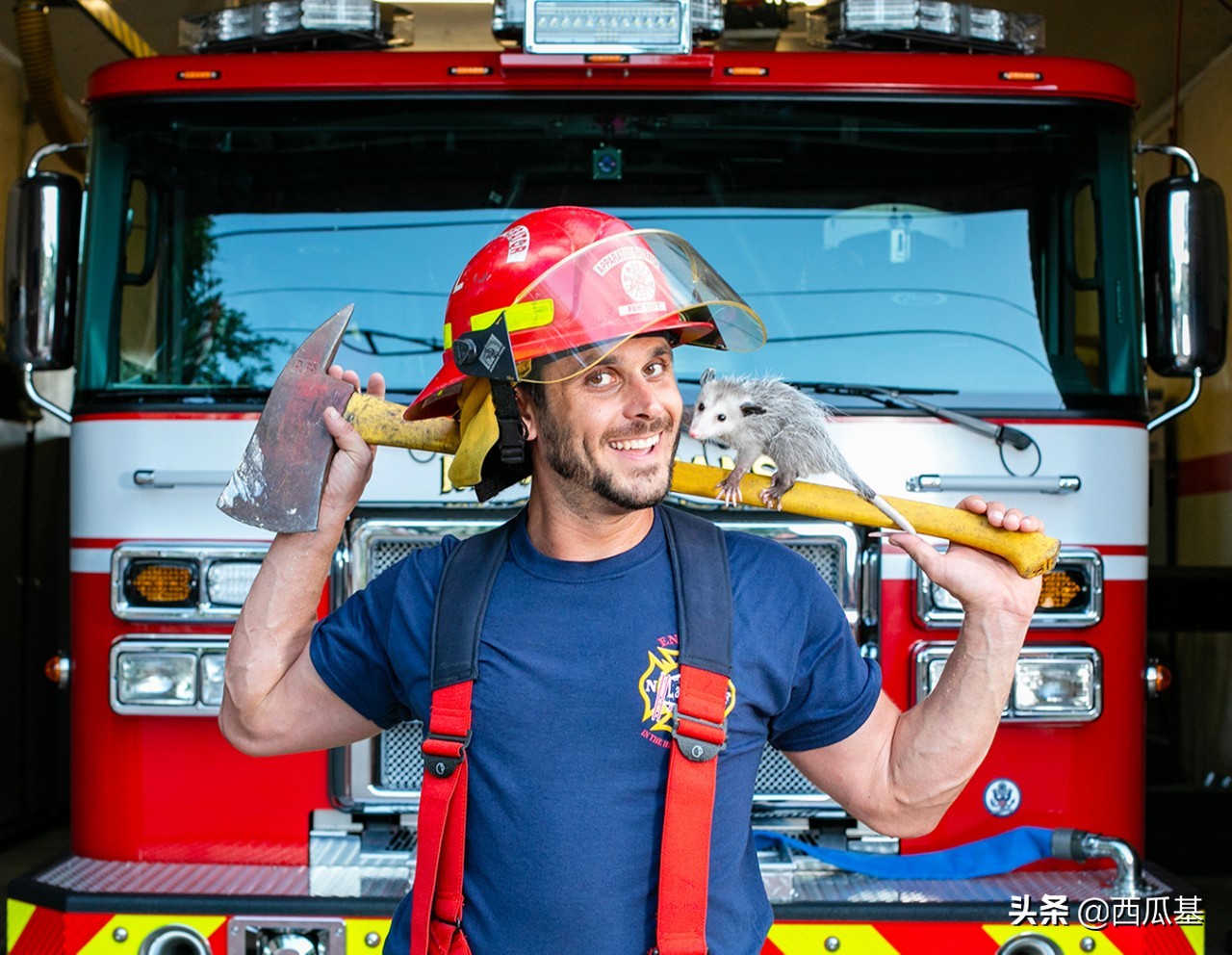 新鲜日历出炉，性感帅哥被萌宠们抢镜了