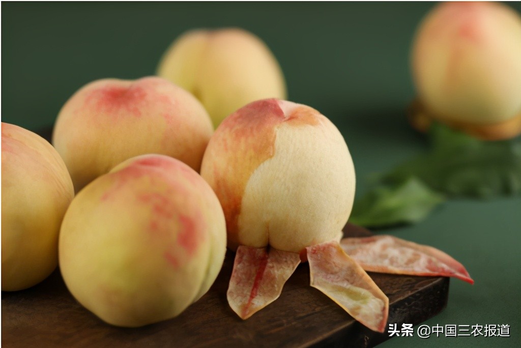 一桃难求！水蜜桃还可以吸着吃？一只能卖80元