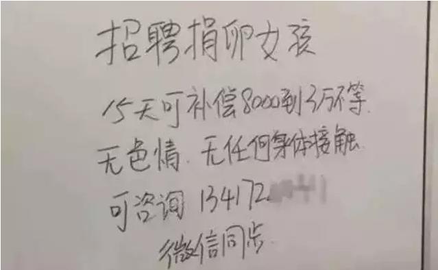 女大学生捐卵费用多少,女大学生捐29个卵