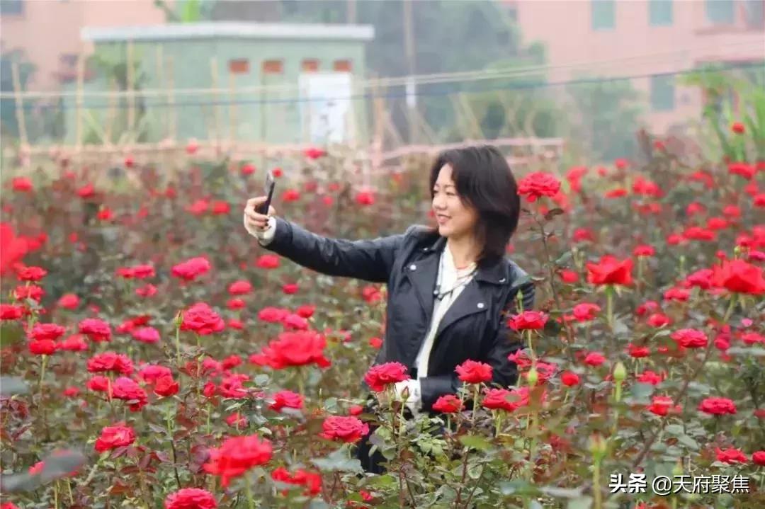 仁寿夏季旅游景区,2020仁寿旅游