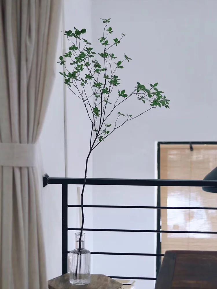 日本吊钟花：植物界的爱马仕