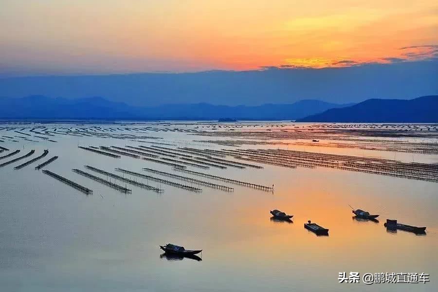 深圳周边适合10-15人玩乐的地方,深圳周边两天一夜的旅游地方推荐