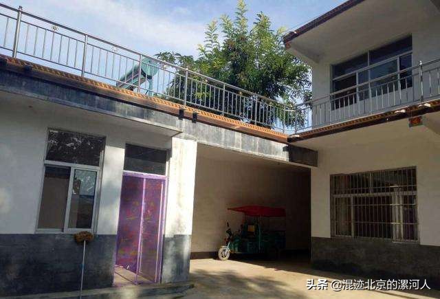 家狗突然不见了啥原因,农村的狗突然不见了是什么原因