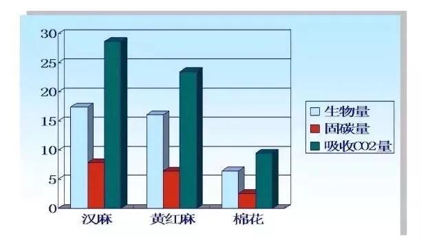 汉麻系列丨人类发现的最完美材料已经8000岁了