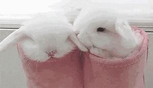 人体最不脆弱的器官,身体各个脏器的最佳调理时间