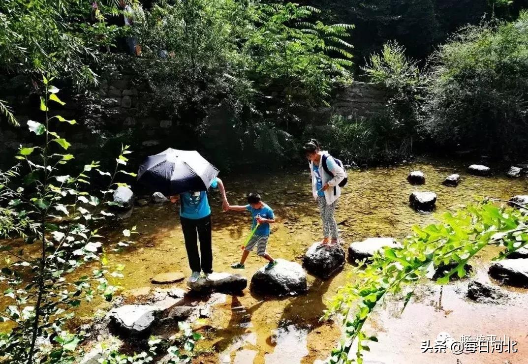 清凉夏日一起游玩,清凉夏日的奇幻邂逅