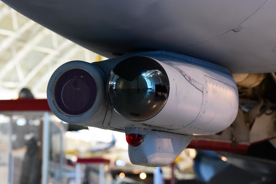 猫咪需要哪些用品,猫迷惑新技能