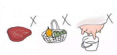 备孕期间养猫的危害,备孕期间养猫对胎儿有影响吗