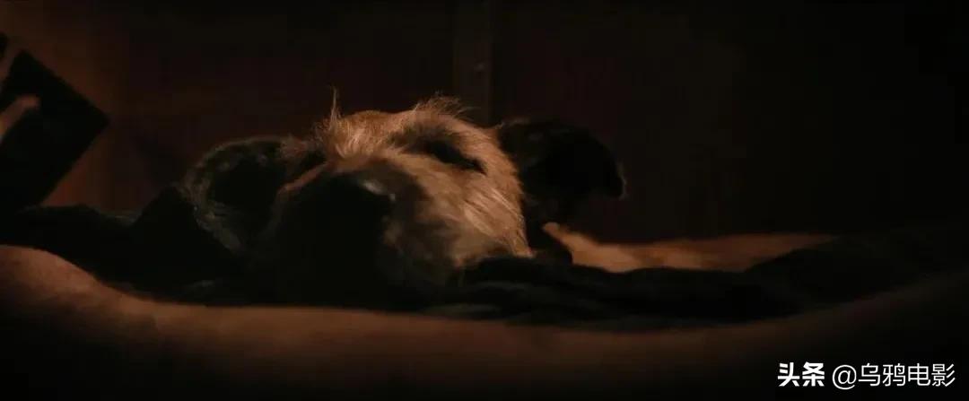 一部被低估的科幻电影末日,现在最火的末日片有哪些