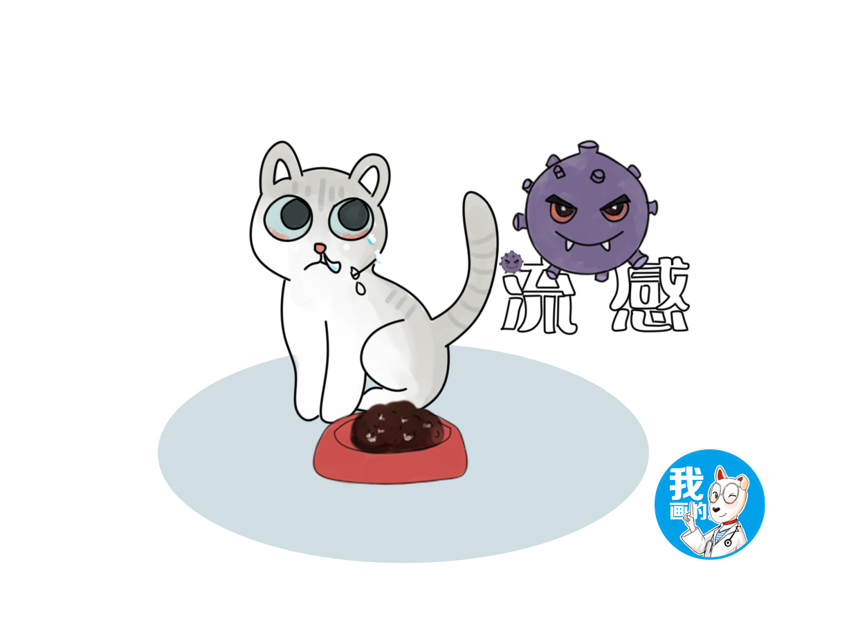 猫咪打呼噜声音很大怎么回事,猫咪为何会有打呼噜的声音