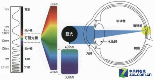 看不见就晚了：“眼力劳动者”的生存指南