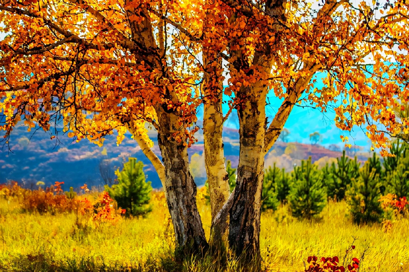 行摄美景,行摄塞外美景