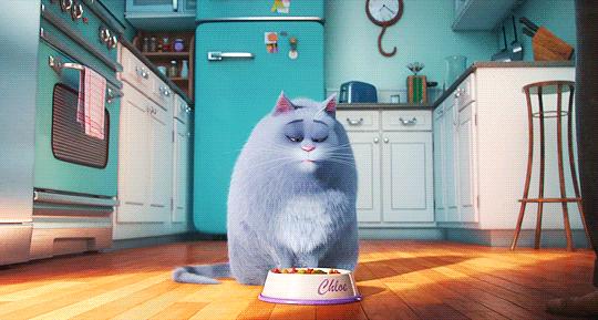 宅在家里能做点啥,宅在家里可以玩些什么